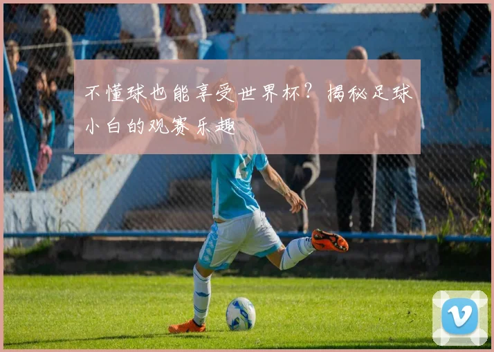 不懂球也能享受世界杯？揭秘足球小白的观赛乐趣