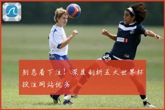别急着下注！深度剖析五大世界杯投注网站优劣