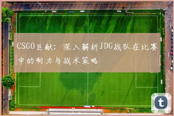 CSGO巨献:深入解析JDG战队在比赛中的耐力与战术策略