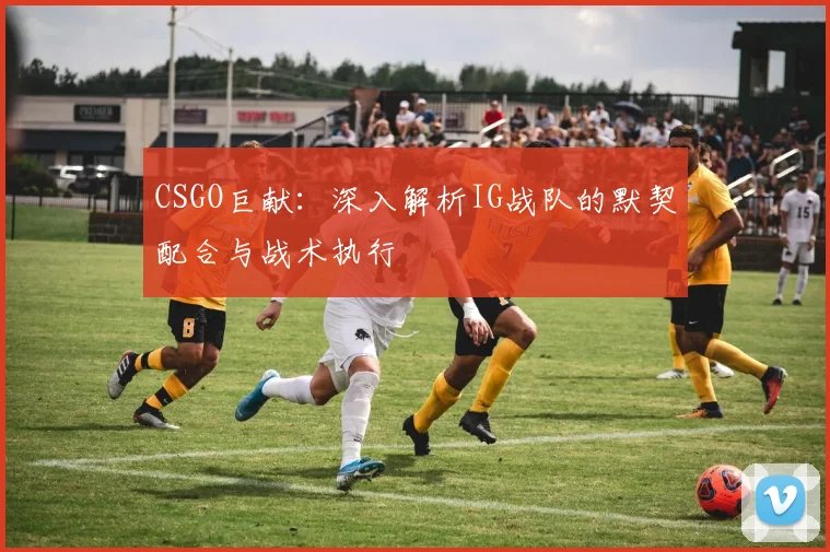 CSGO巨献：深入解析IG战队的默契配合与战术执行