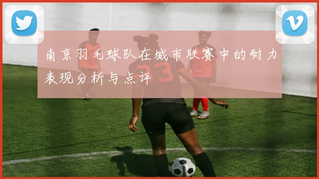南京羽毛球队在城市联赛中的耐力表现分析与点评