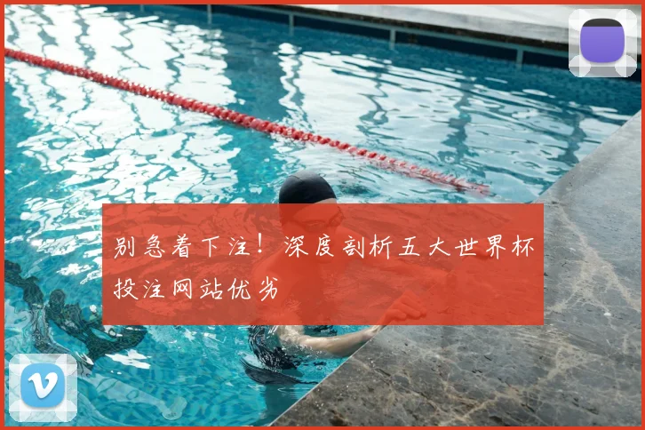 别急着下注！深度剖析五大世界杯投注网站优劣