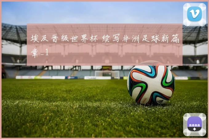 埃及晋级世界杯 续写非洲足球新篇章_1