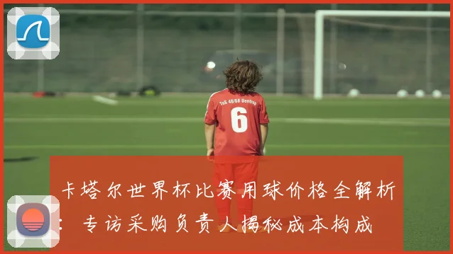 卡塔尔世界杯比赛用球价格全解析：专访采购负责人揭秘成本构成