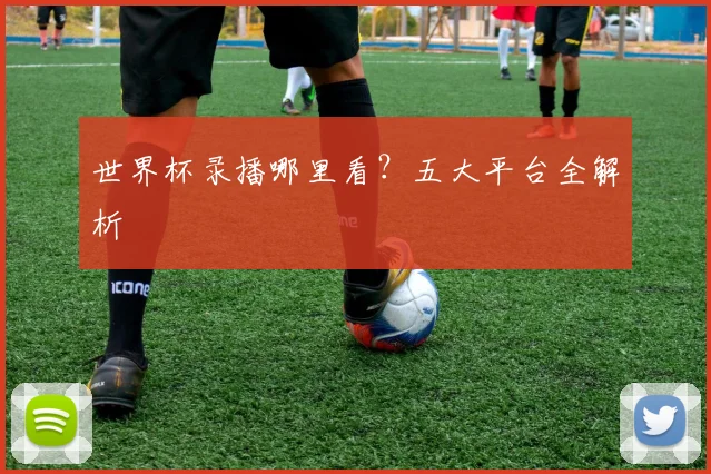 世界杯录播哪里看？五大平台全解析