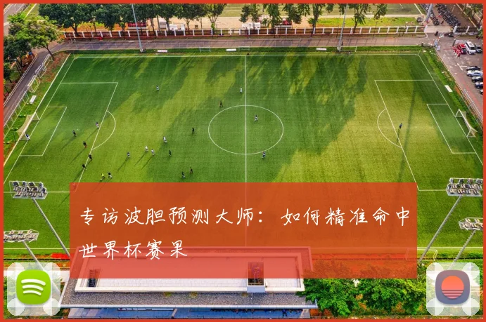 专访波胆预测大师:如何精准命中世界杯赛果