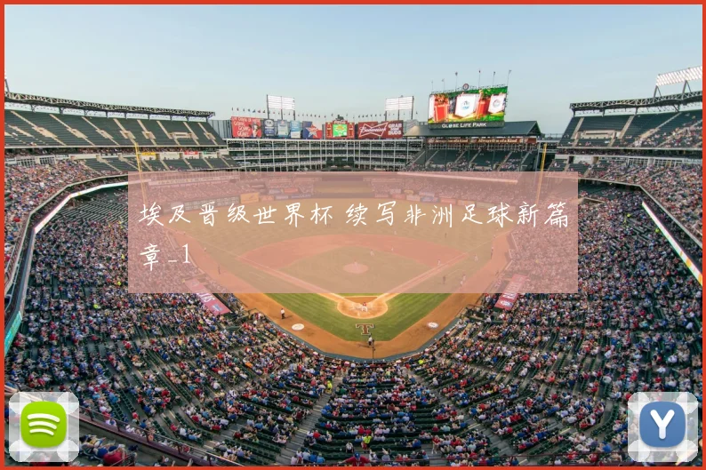 埃及晋级世界杯 续写非洲足球新篇章_1
